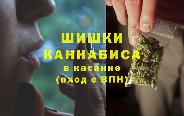 ПСИЛОЦИБИНОВЫЕ ГРИБЫ Наволоки