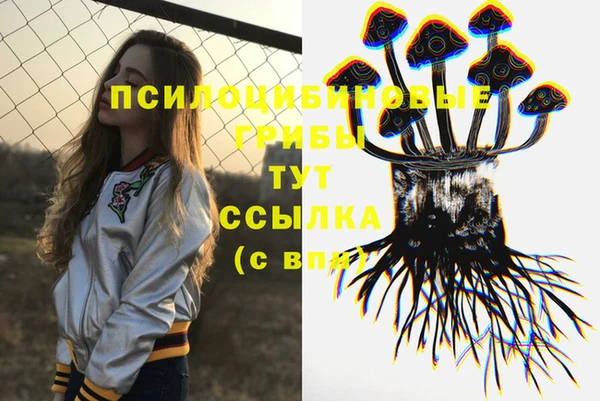 хмурый Нефтекумск
