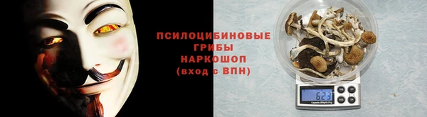 spice Надым