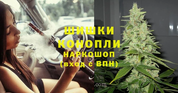 СК Навашино