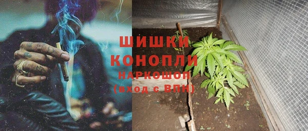 spice Надым