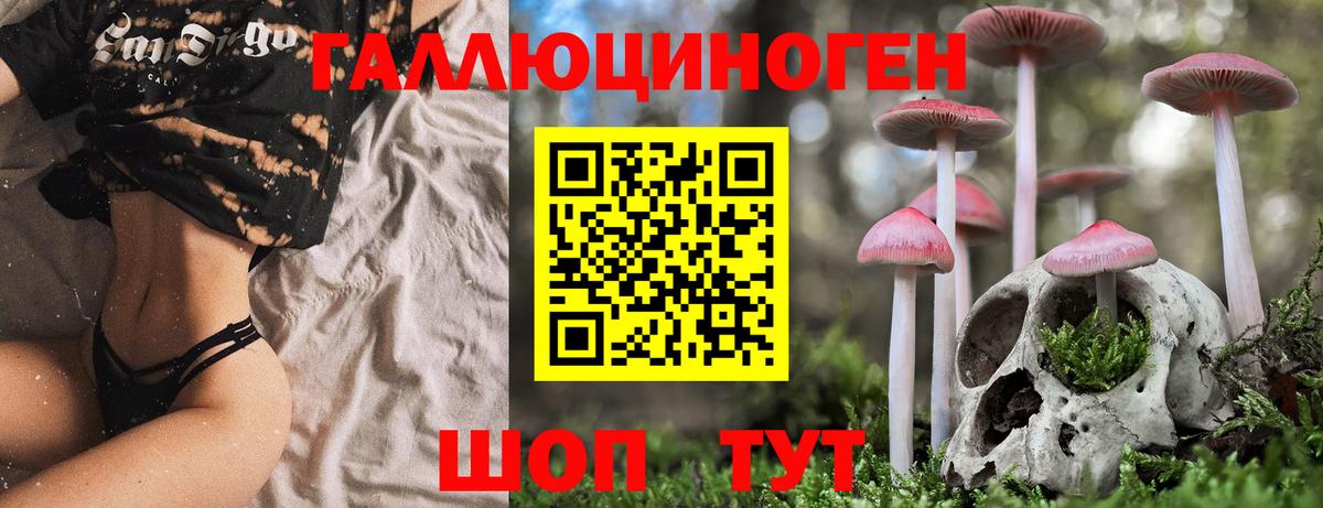 Галлюциногенные грибы ЛСД  Вход с VPN  Клин 